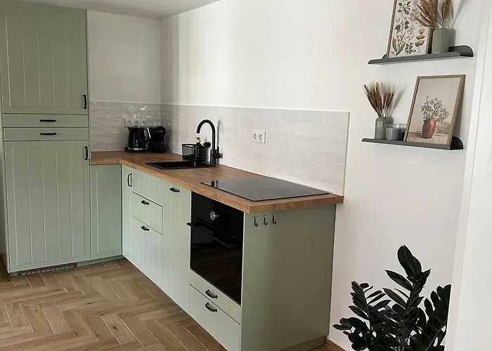 Apartamento Altleubnitz 8